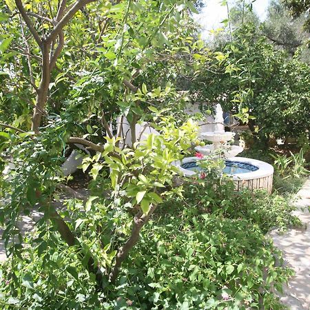 ניסקי Villa Aphrodite Nissaki מראה חיצוני תמונה